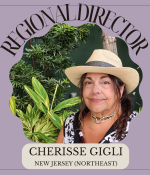 Cherisse Gigli, RN BSN RA CCAP