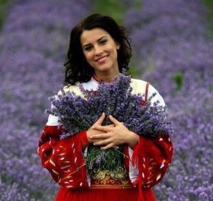 Pure Bulgarian Lavender - Premium Listing