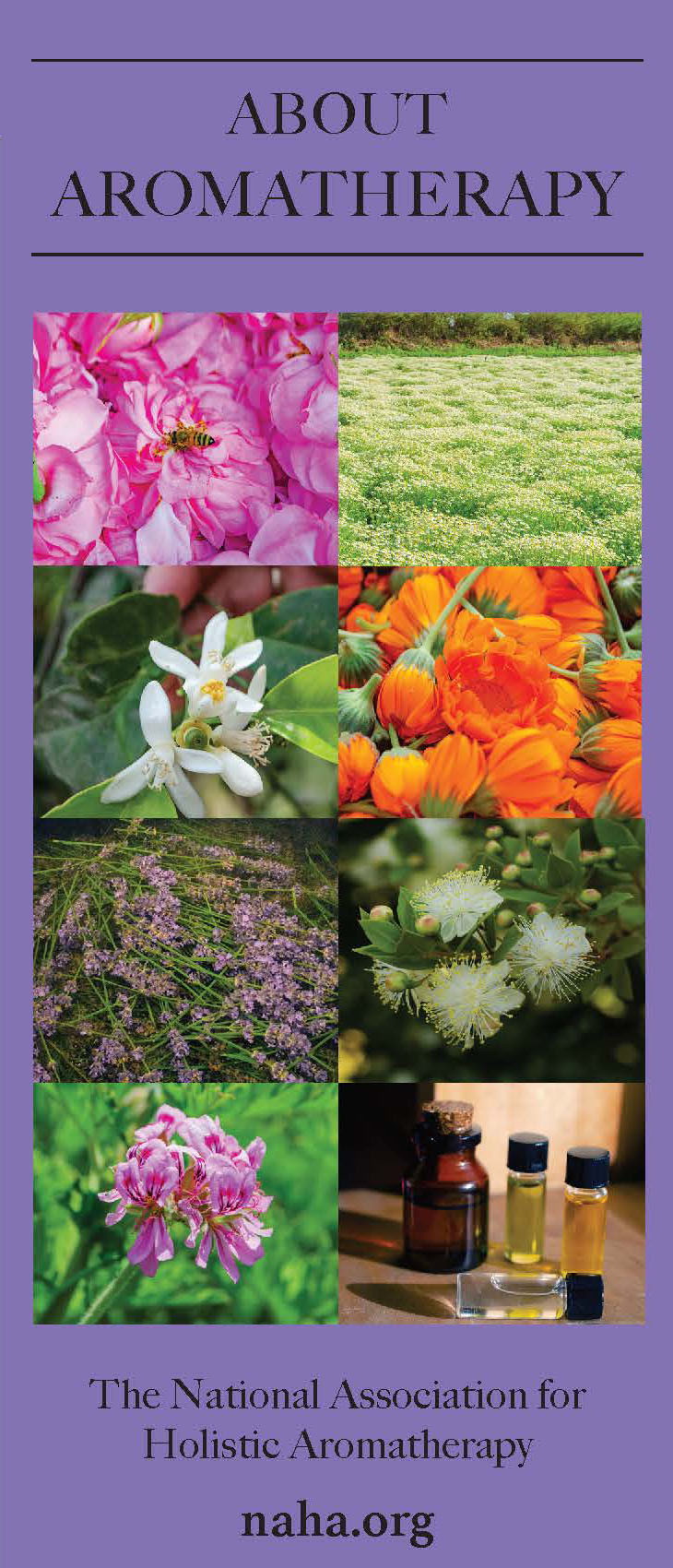 About Aromatherapy Brochure- PRINT VERSION ONLY