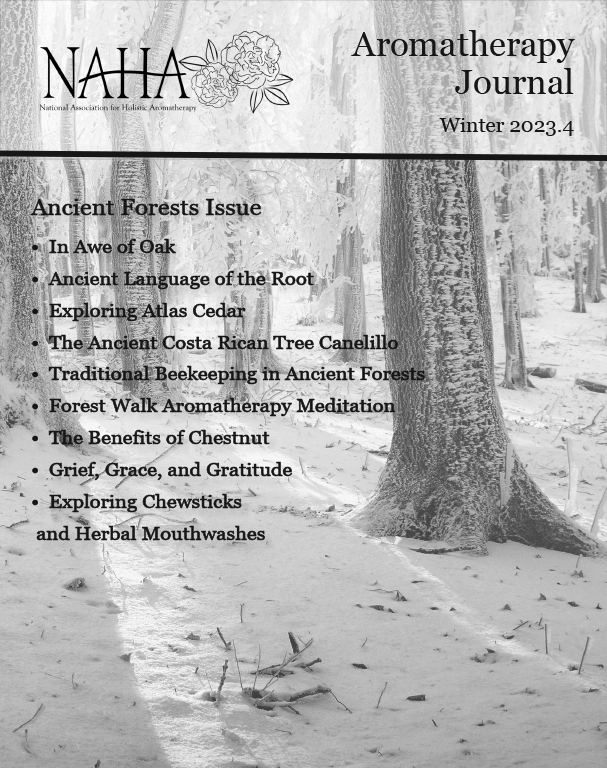 NAHA Winter Aromatherapy Journal | Ancient forests 2023.4