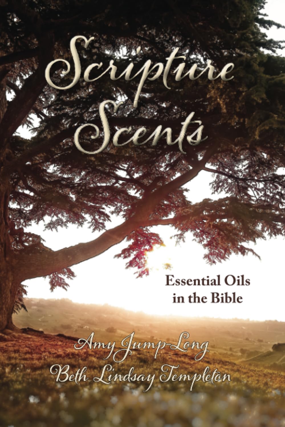 Scripture Scents: Essential Oils in the Bible