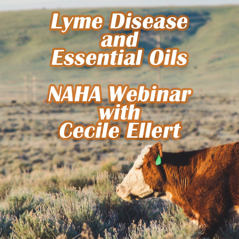 Lyme Disease and Essential Oils - Cecile Ellert Webinar